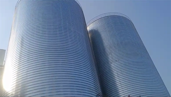 兰溪2座混凝土高架卷板仓